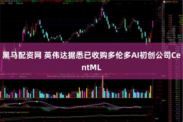 黑马配资网 英伟达据悉已收购多伦多AI初创公司CentML