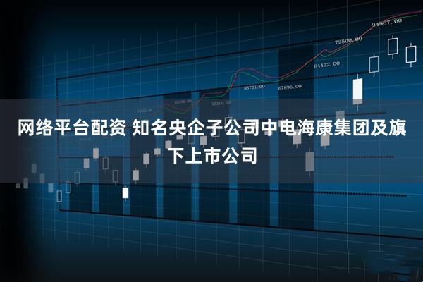 网络平台配资 知名央企子公司中电海康集团及旗下上市公司